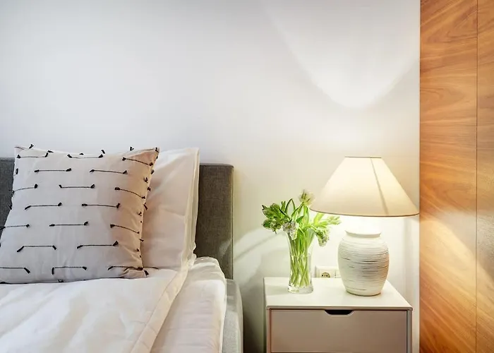 Domillion 2bdr Bright&central Pa227 Vilnius