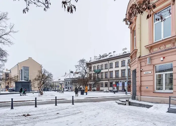 Domillion 2bdr Bright&central Pa227 Apartman Vilnius